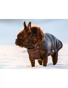 Kabát pre psov Kitzbuhel 35cm hnedý 