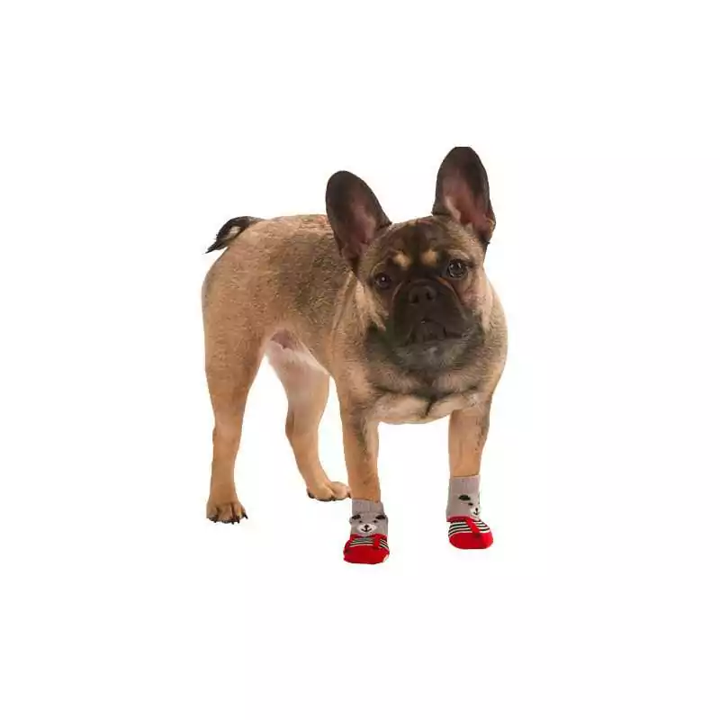 Ponožky pre psa Bruno sivo-červené S 4ks