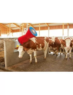 Stroj na čistenie kráv HappyCow s PA-štetinami