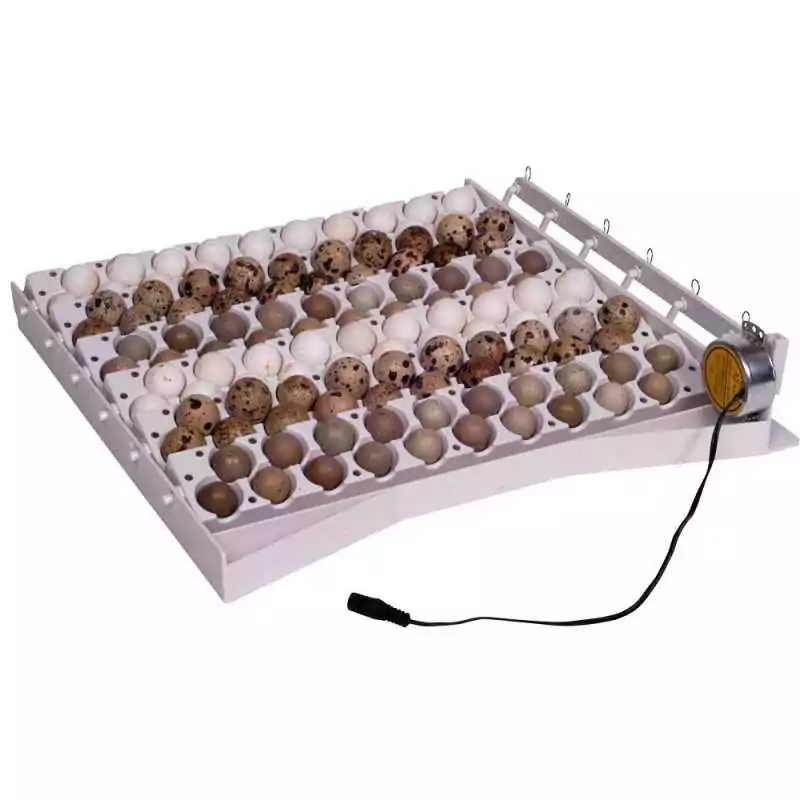 Automatický obracač na 42vajec+6vaničiek na prepeličích vajec