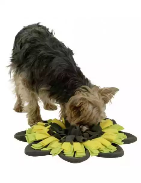 Hrací koberec pre psy 40 cm priemer, Sunflower, zeleno-žltý