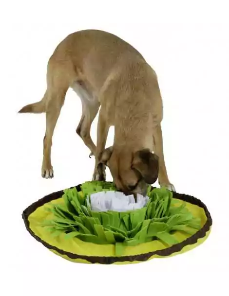 Hrací koberec pre psy priemer 60 cm Bowl, žlto-zeleno-biely