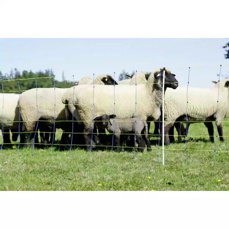 Sieť pre ovce TITAN PRO Net 108cm, 50m, s 1 špicou