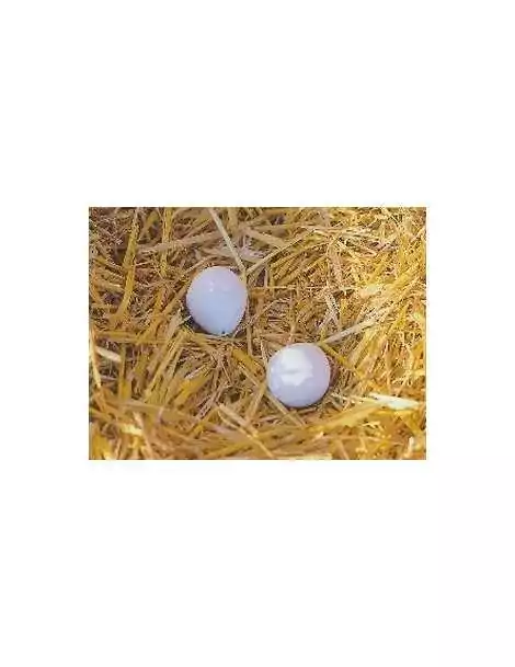 Hniezdové vajíčka pre sliepky hlinené