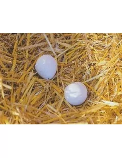 Hniezdové vajíčka pre sliepky hlinené