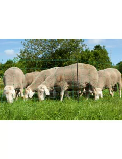 Sieť pre ovce Ovinet 90cm,50m,dvojitá špica, zelená