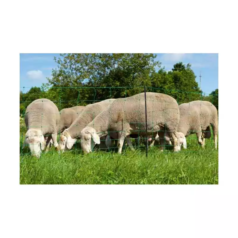 Sieť pre ovce Ovinet 108cm s dvomi špicami/zelená
