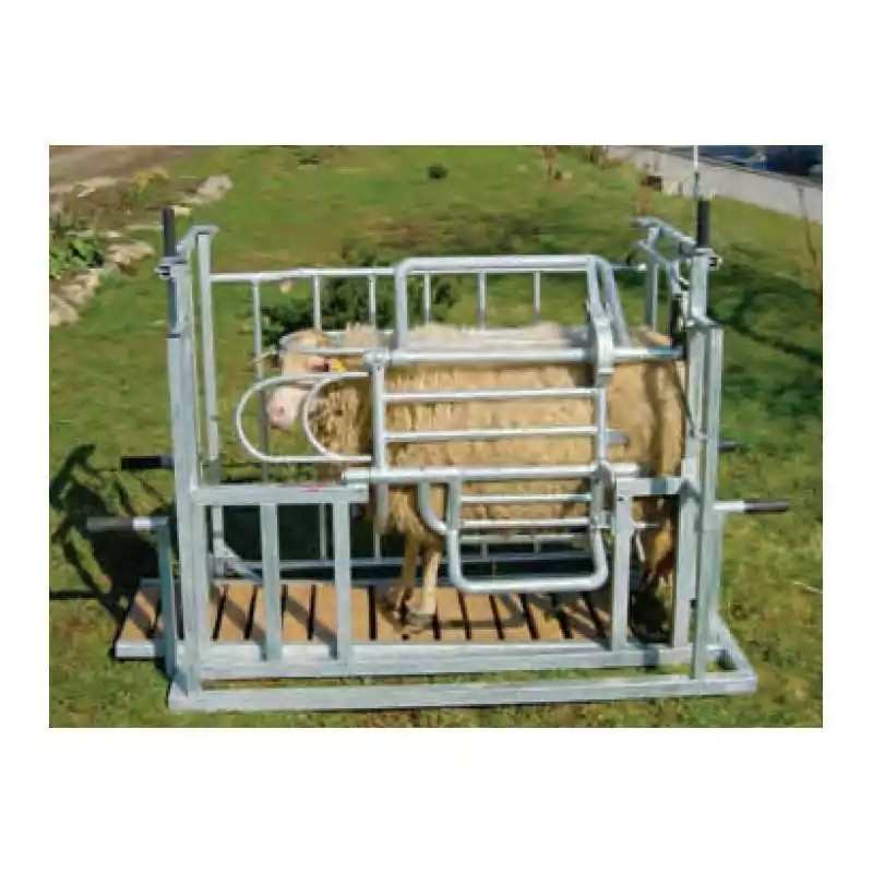 M10-fixačná klietka otočná pre ovce