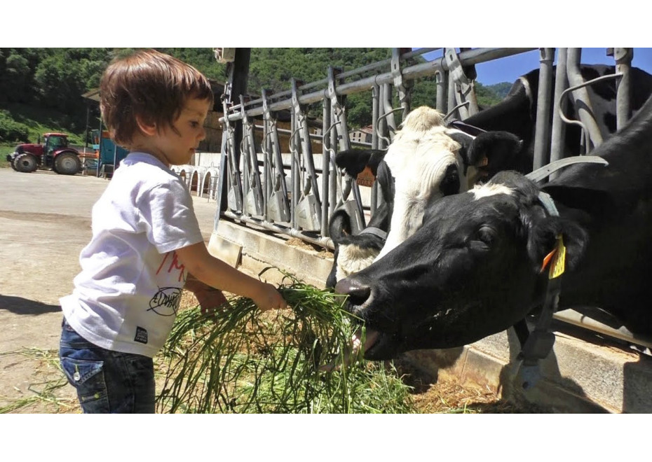 Medzinárodný deň mlieka - súťaže a dni otvorených dverí